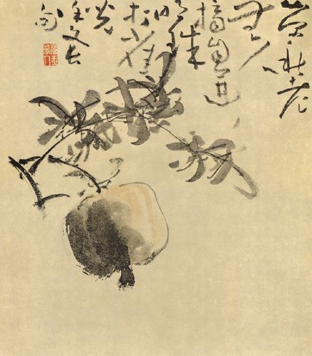 石榴图