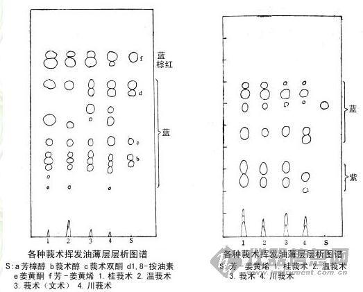 主题:【谱图】天然药物薄层色谱图集四