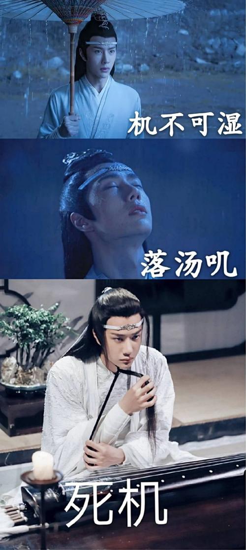 陈情令表情包蓝忘机王一博 xswl好可爱 hahahahaha