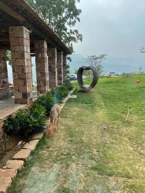 邯郸武安王坡民宿_王坡民宿攻略_住宿_民宿_出行_人文风光展示_旅行