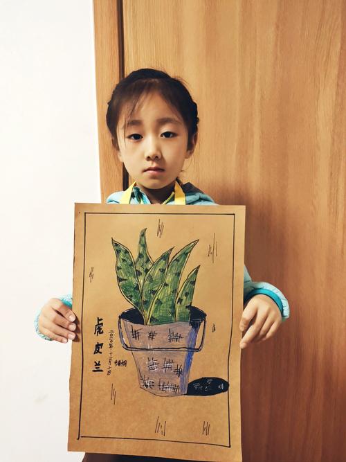 名师学堂少儿美术——彩铅画《虎皮兰》