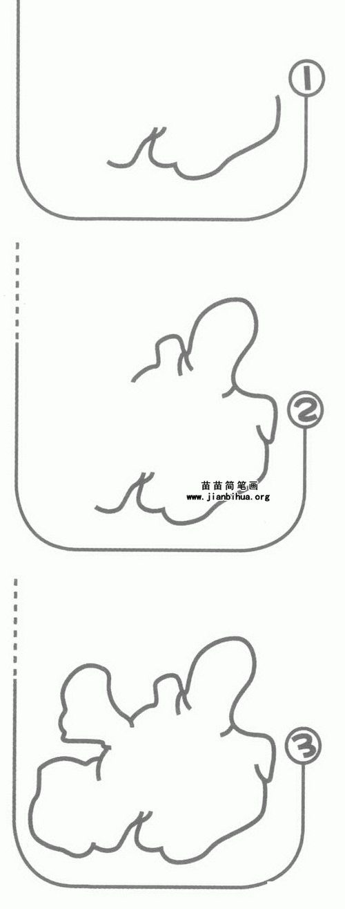 生姜简笔画图片,教程