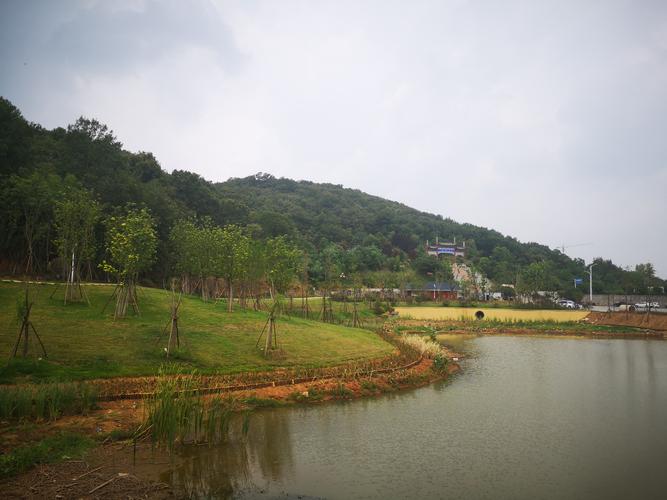 确山盘龙山公园,你了解多少?