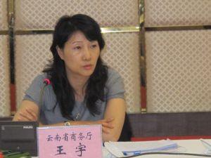 王宇[云南省德宏州人民政府副州长]