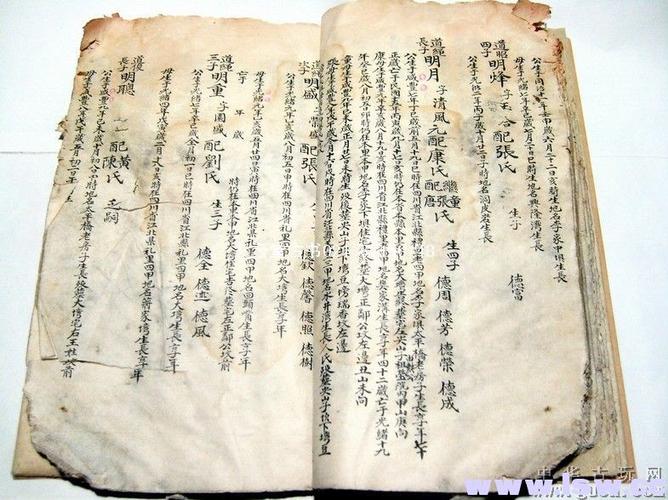 四川江北.李氏族谱(明:崇祯.第1代至民国11世.全)