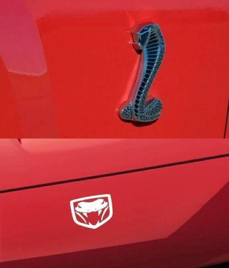 车标志像一条猛蛇叫什么