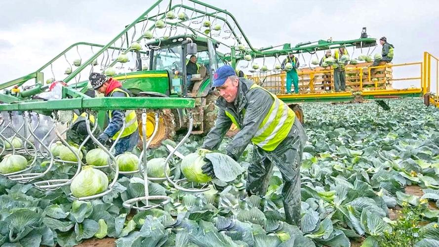德国先进的现代农业机械网友农民越少机械化越发达