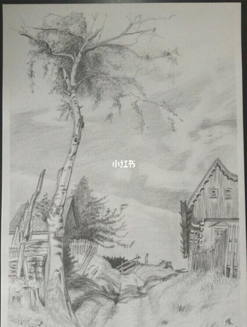 风景素描979690乡间小路_风景_素描_绘画_钢笔_铅笔画_我的绘画