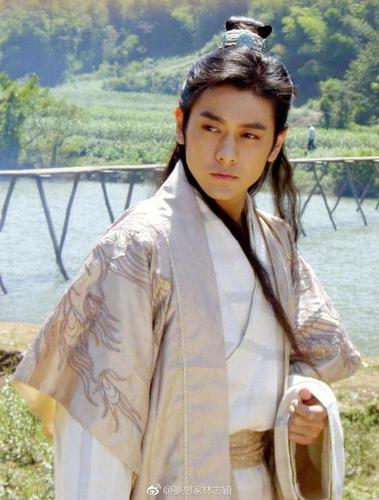 剧照  《天龙八部》剧照  《放羊的星星》剧照  8月28日,林志颖在自己