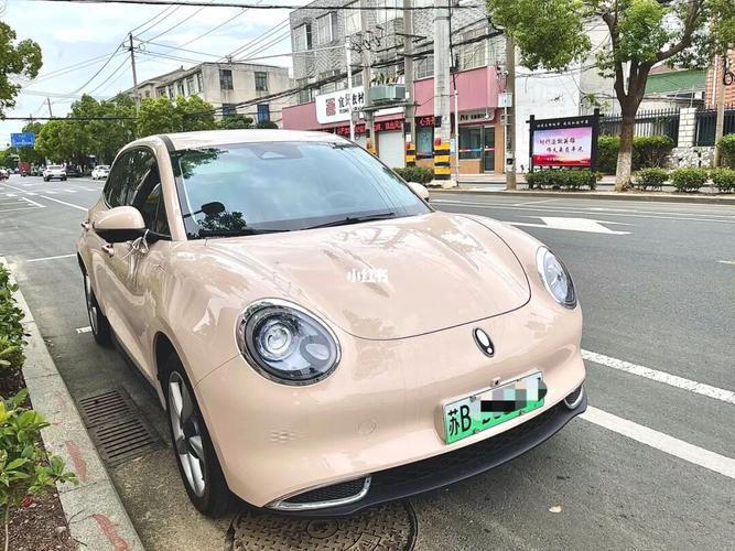 长城欧拉好猫 维纳斯版 401km 测评_长城_测评_空调_试驾_毛豆_米色