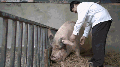 400_225gif 动态图 动图