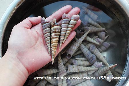 辣炒锥螺的做法【图文】_特色小吃-美食城