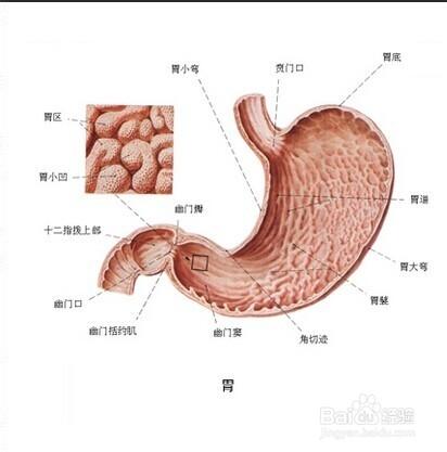 胃,十二指肠球部溃疡注意事项