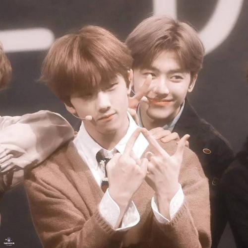 星娜/娜星/明治//罗渽民×朴志晟