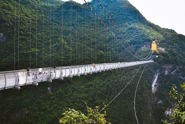 网易首页>网易号>正文申请入驻> 总体来说,广东峡天下景区的体验还是