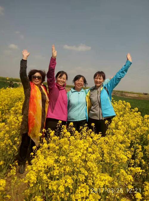 封丘赏油菜花