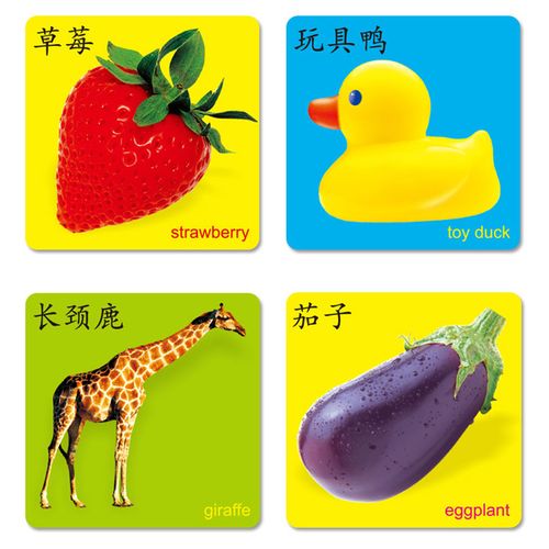 小手撕不烂认物识字卡宝宝入园准备书籍 婴幼儿宝宝早教启蒙认知卡片