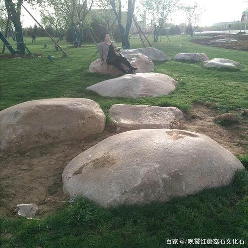 草坪石 景观置石使园林绿化更加生动