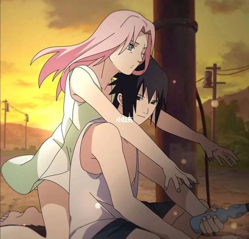 佐助和小樱的爱情_火影忍者_佐助小樱_影视_动漫_动漫