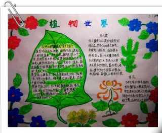 春天植物观察手抄报 植物园手抄报