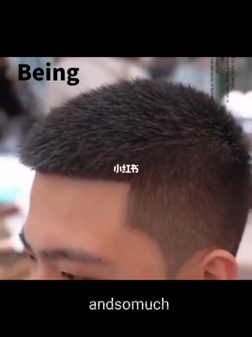 男生发型短款栗子头_发型_栗子头_上和造型攻略_男士发型_百搭_男生