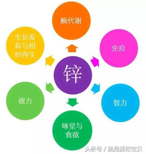 锌是微量元素,被誉为"生命之花".