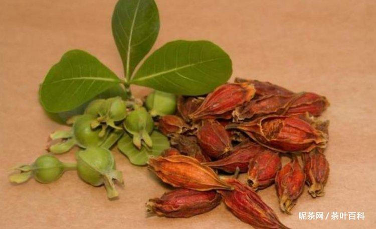 黄栀子泡水喝的功效