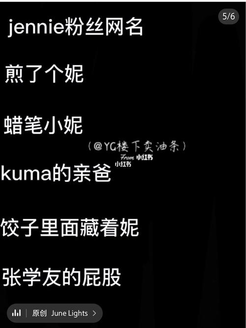 blackpink网名_素材_素材其他