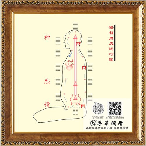 任督周天运行图中医道教任督两周易易经修道修身养性