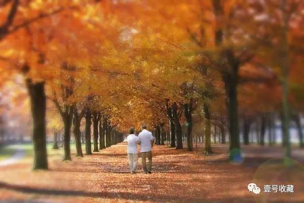 【推荐】杨绛:善待暮年