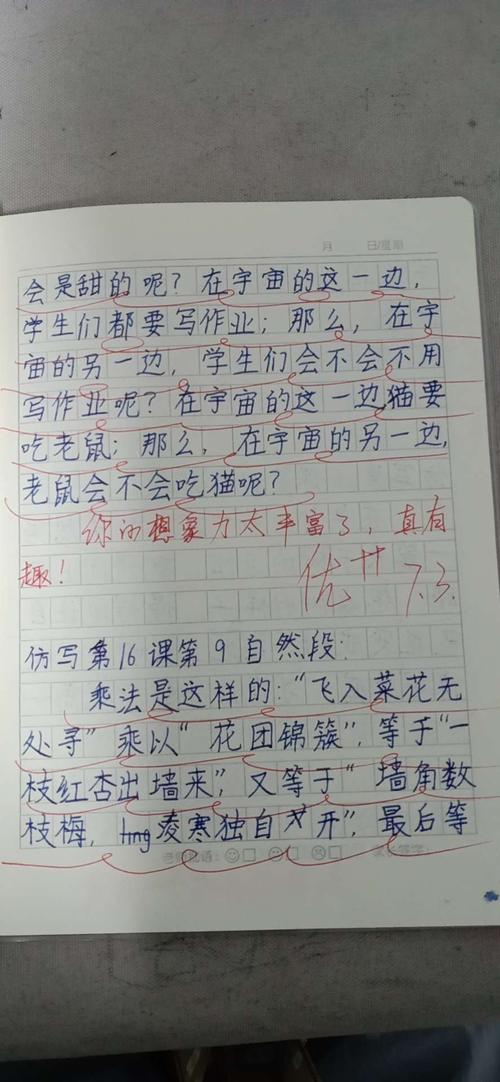 三年级小练笔