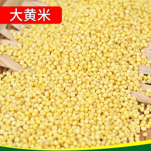东北大黄米