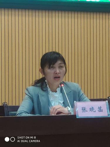 新洲区文化和旅游局张晓菡局长作重要讲话