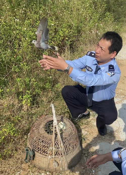 遂溪警方连破3宗非法捕鸟案被捕获的鸟儿已重归大自然