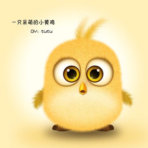萌卡通头像小鸡