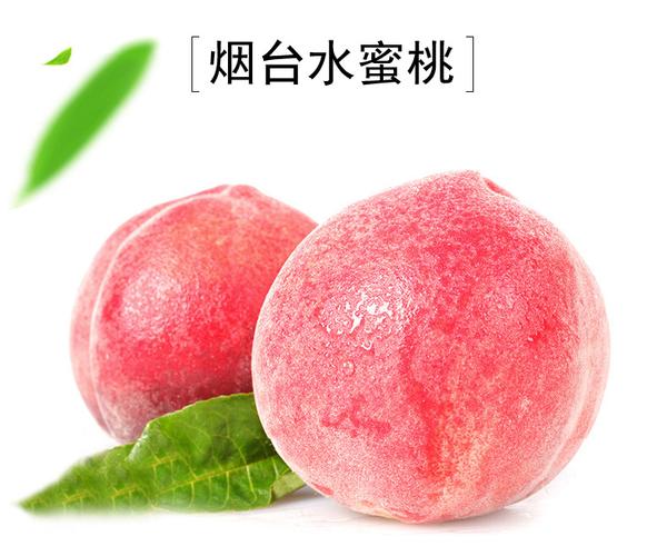 有机新鲜果农水果水蜜桃批发直供 山东烟台新鲜水蜜桃毛桃包邮