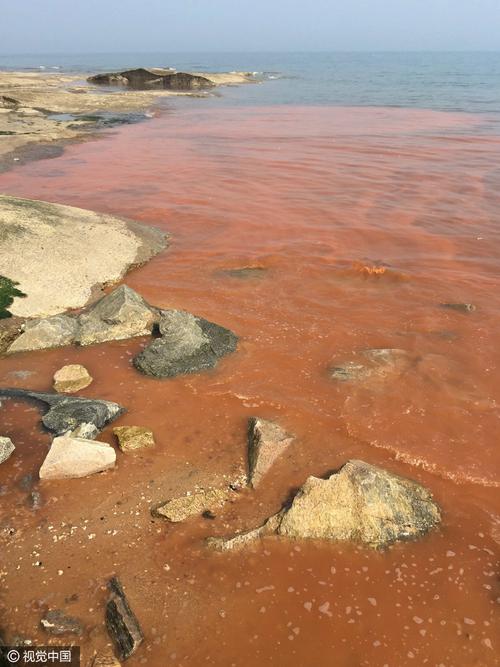 山东日照海边现"赤潮"现象