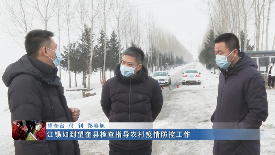 新闻联播▏江锡如到望奎县检查指导农村疫情防控工作
