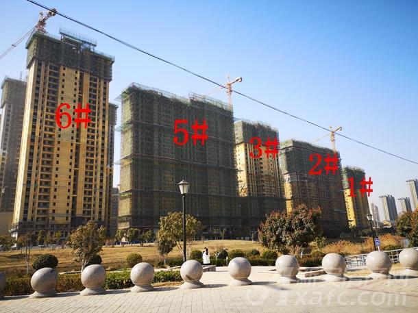 碧桂园平侯府3月份项目进度 高层正在粉饰外立面