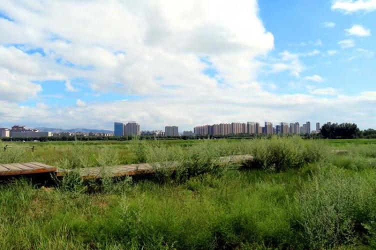 赛汗塔拉公园掠影