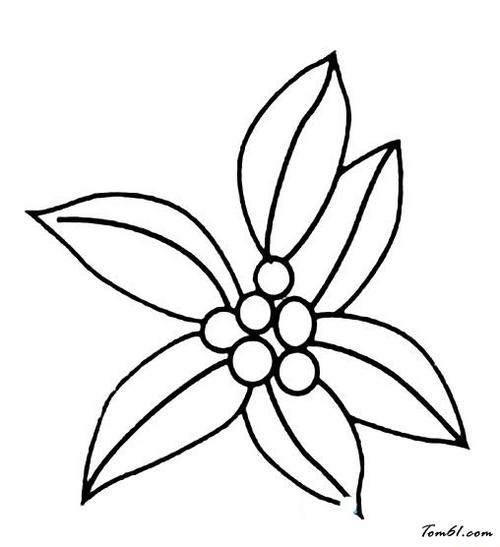冬青图片_简笔画图片_少儿图库_中国儿童资源网