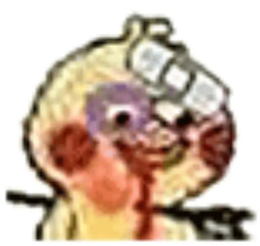 鹦鹉(小黄鸡)表情包 多图预警