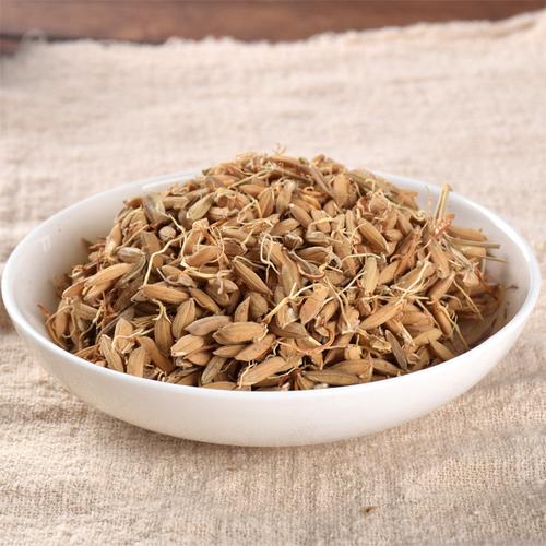 寻百草 中草药谷芽 稻芽 生稻芽 生谷芽 四川谷芽 炒谷芽500克