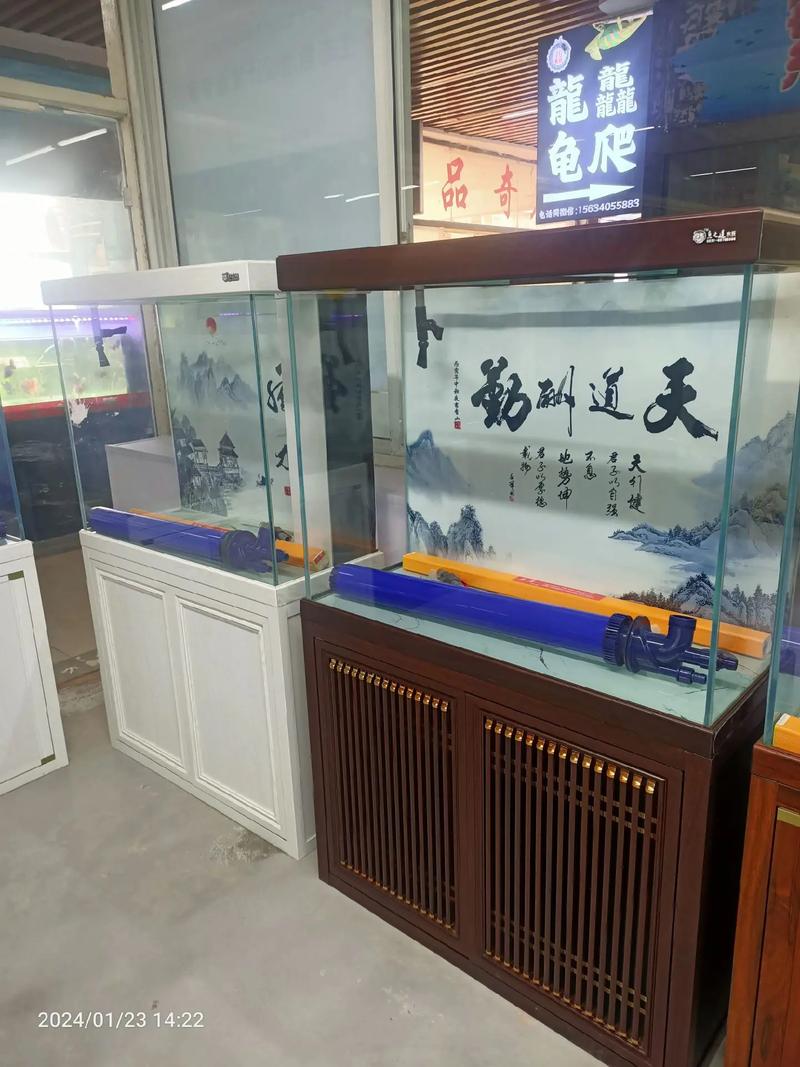 华龙路水族花卉市场a