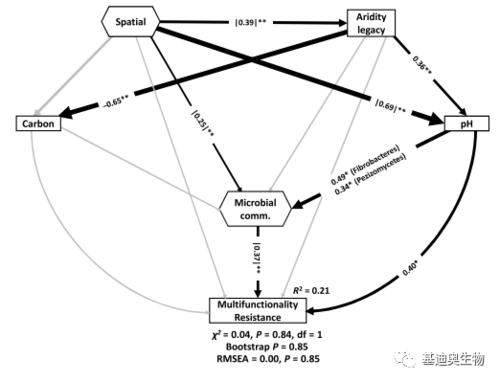 图1 文章中的sem模型[1]结构方程模型(structural equation model