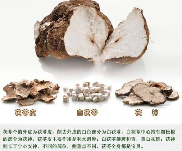 茯苓是什么,茯苓的功效有哪些?