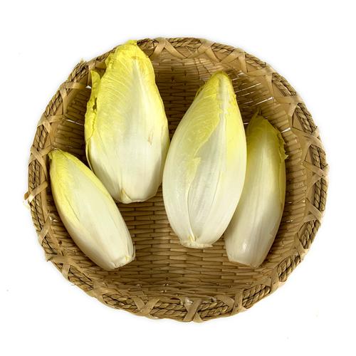 玉兰菜500g新鲜蔬菜金玉兰苦白菜欧洲菊苣比利时芽球沙拉食材