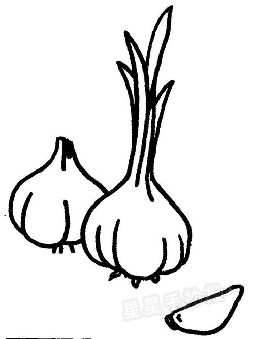 洋葱简笔画怎么画