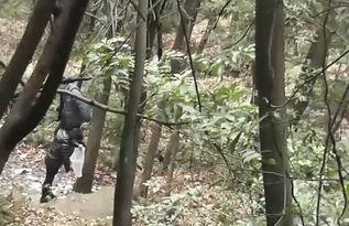 老头老太太风 流图-山野树林里的偷腥者