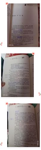 金燕四一,共读一本书《青铜葵花》第三章5,第四章1